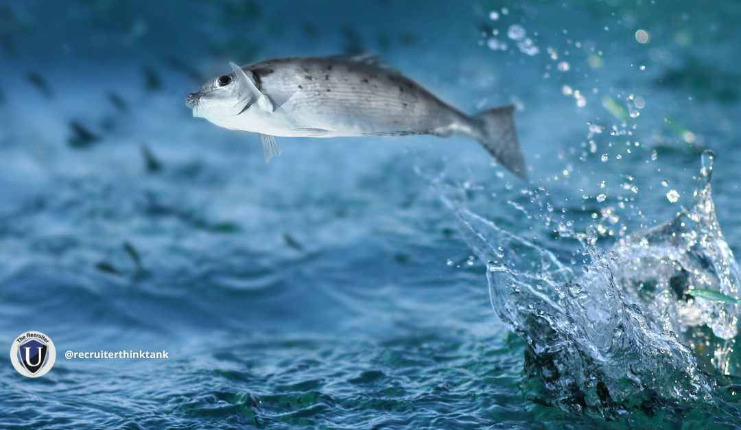How to Adapt Your Recruiting Marketing Strategy When ‘The Fish Aren’t Jumping’